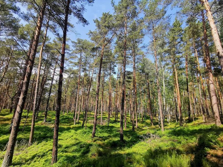 Campolohel- Przyczepa Kempingowa Екстериор снимка